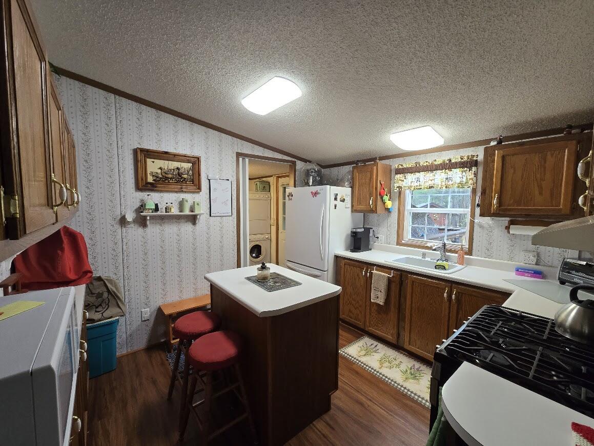 3189 South Cedar Road Chase, MI 49623 - Photo 3 of 45 20250501_131824