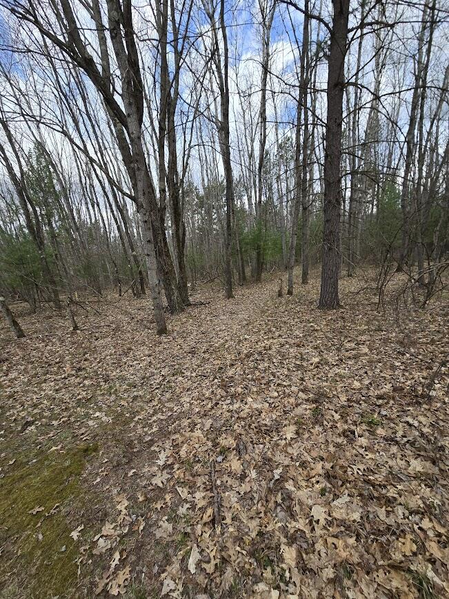 3189 South Cedar Road Chase, MI 49623 - Photo 31 of 45 20250429_102228