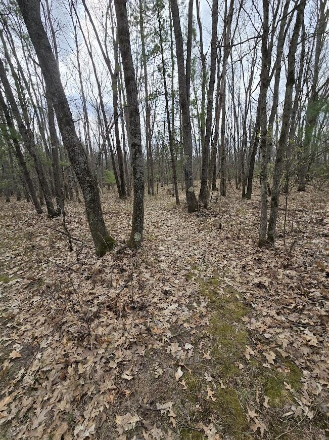 3189 South Cedar Road Chase, MI 49623 - Photo 32 of 45 20250429_102234