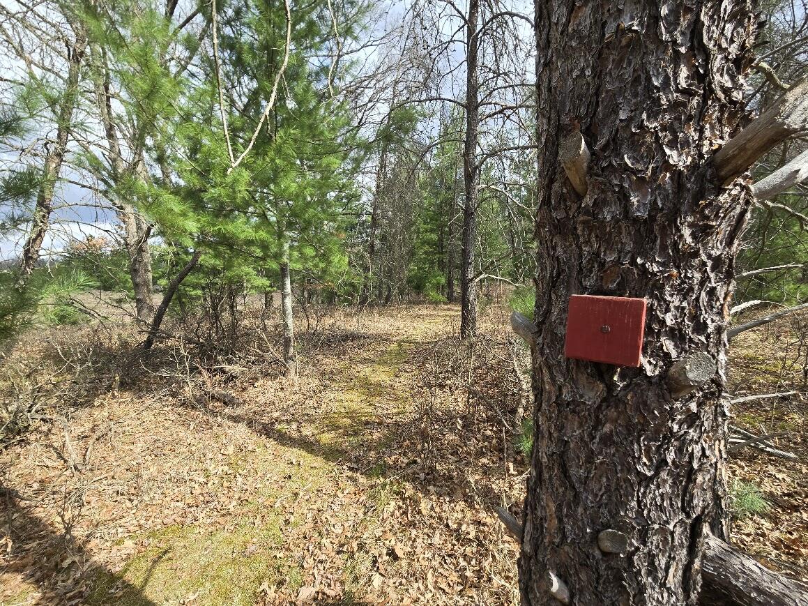 3189 South Cedar Road Chase, MI 49623 - Photo 39 of 45 20250429_103002