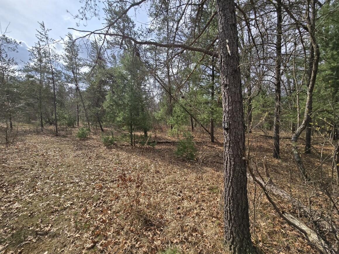 3189 South Cedar Road Chase, MI 49623 - Photo 40 of 45 20250429_103012