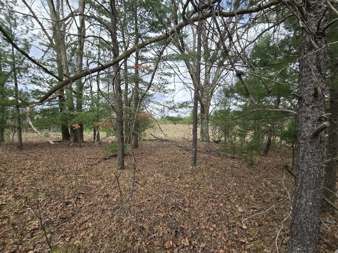 3189 South Cedar Road Chase, MI 49623 - Photo 41 of 45 20250429_103104