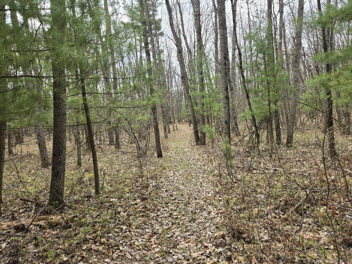 3189 South Cedar Road Chase, MI 49623 - Photo 43 of 45 20250429_103459