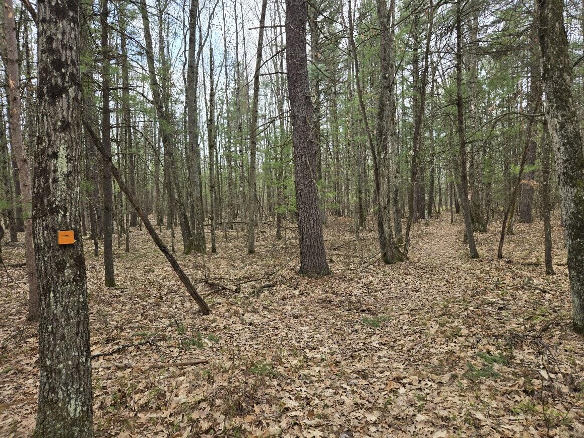 3189 South Cedar Road Chase, MI 49623 - Photo 44 of 45 20250429_103817
