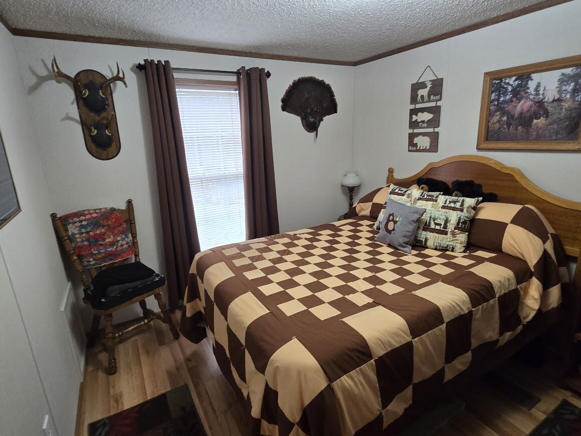 3189 South Cedar Road Chase, MI 49623 - Photo 6 of 45 20250429_100212