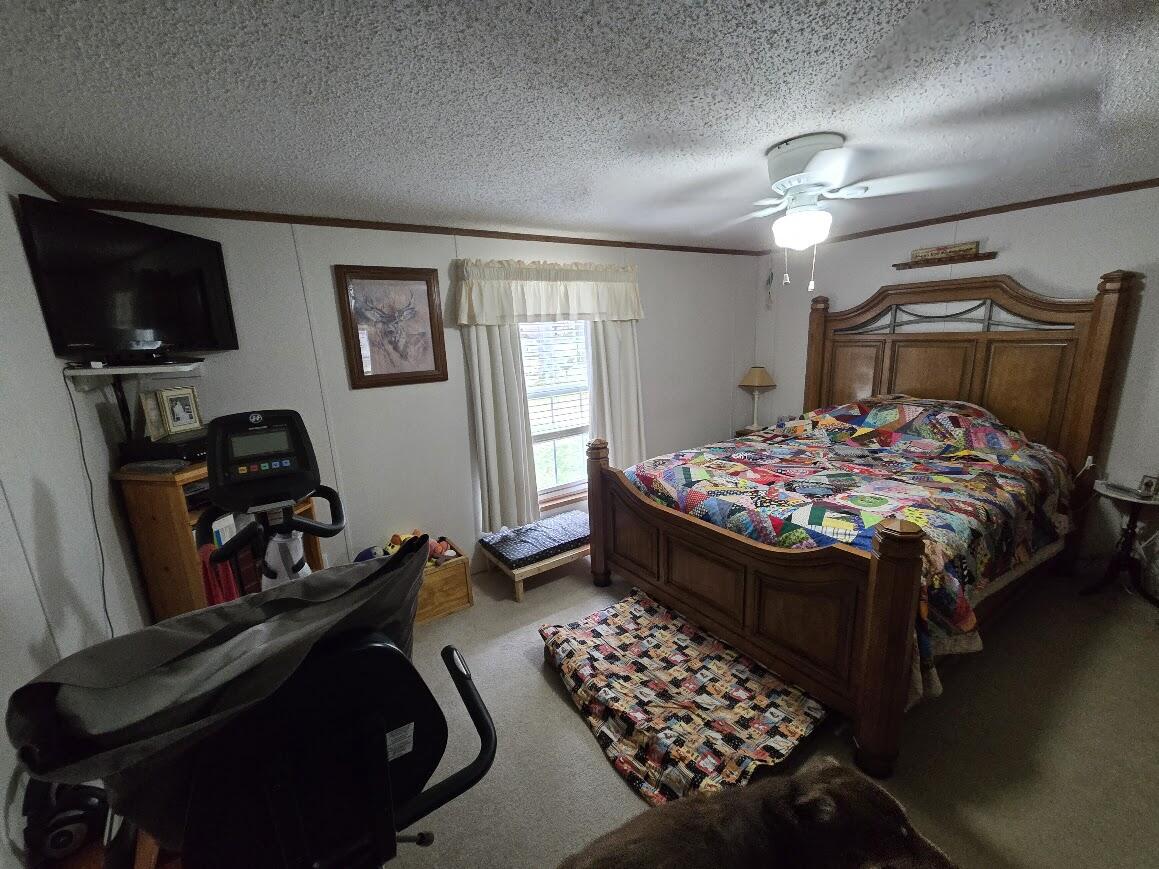 3189 South Cedar Road Chase, MI 49623 - Photo 8 of 45 20250429_100253