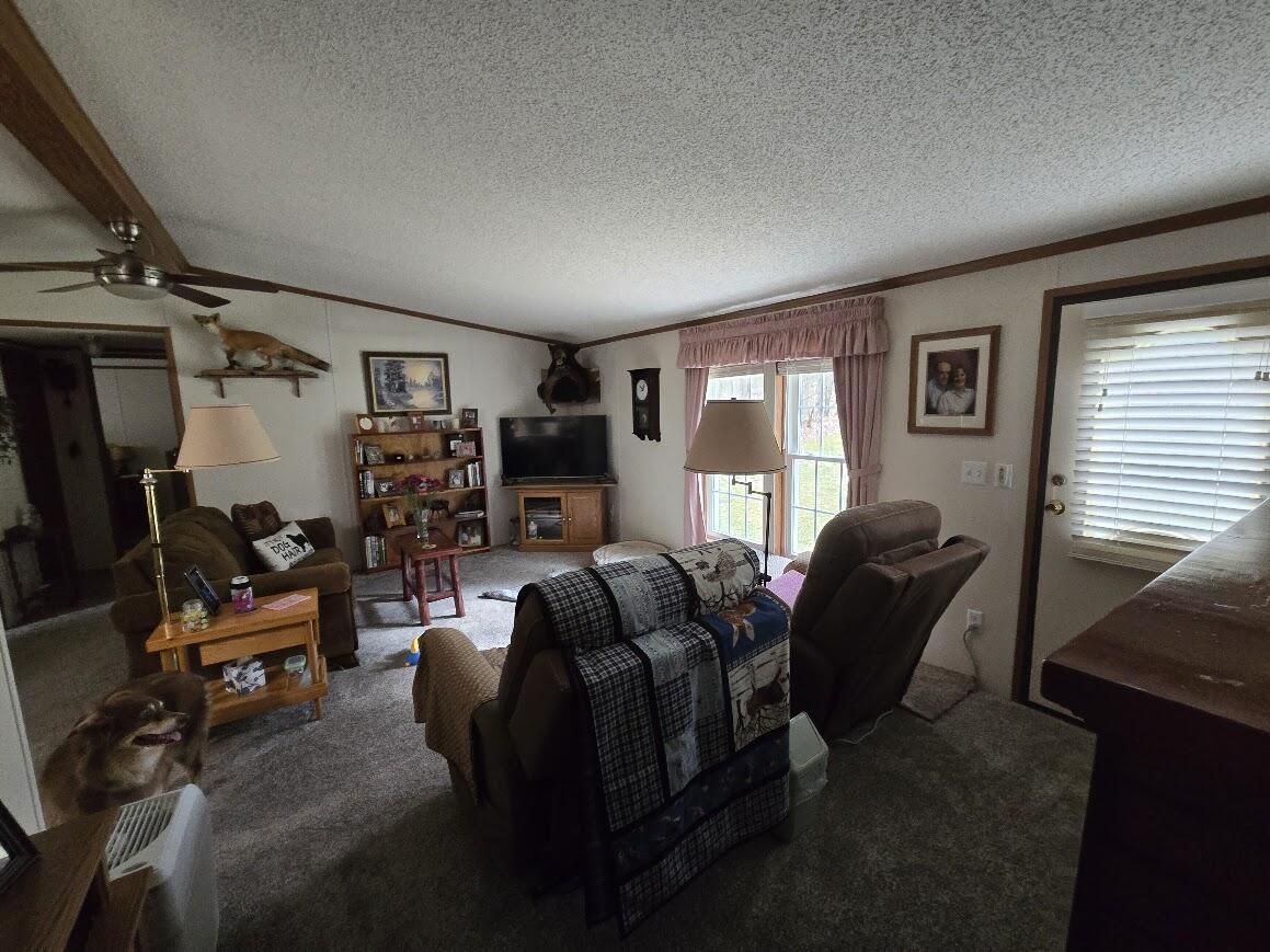 3189 South Cedar Road Chase, MI 49623 - Photo 10 of 45 20250429_100333