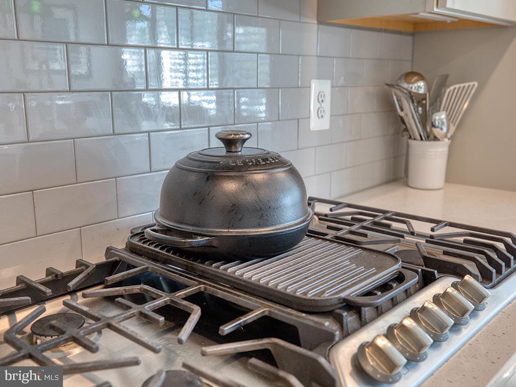 29298 Baker Island Road Lewes, DE 19958 - Photo 12 of 95 Cooktop