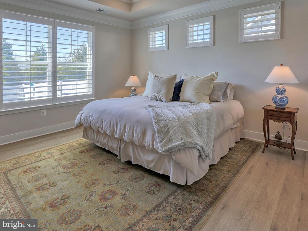 29298 Baker Island Road Lewes, DE 19958 - Photo 20 of 95 Primary Suite with tray ceilings