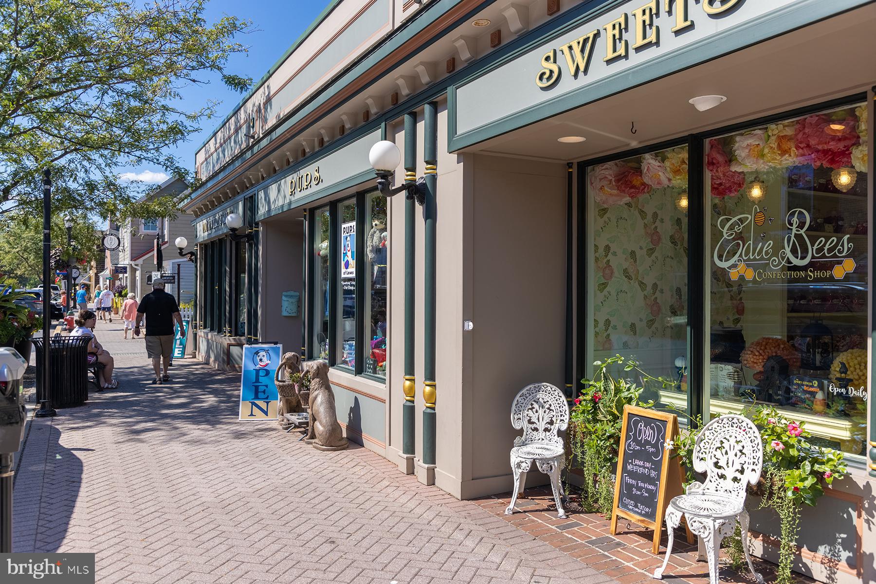 29298 Baker Island Road Lewes, DE 19958 - Photo 53 of 95 Shopping on 2nd St in Lewes