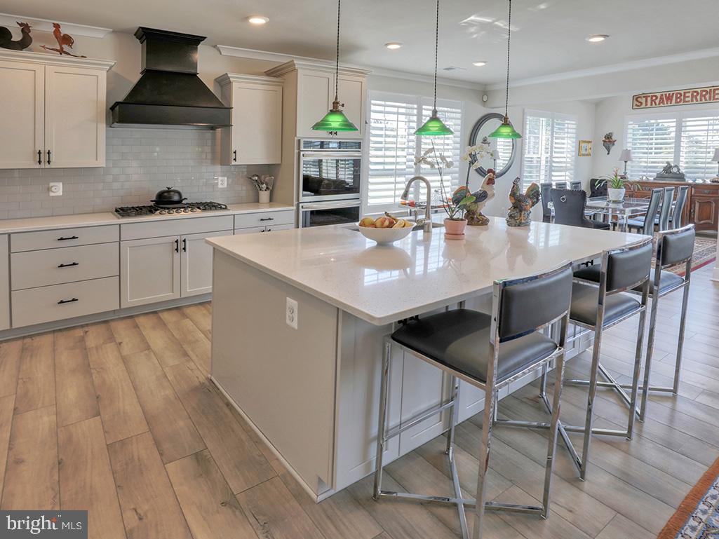 29298 Baker Island Road Lewes, DE 19958 - Photo 6 of 95 Gourmet Kitchen