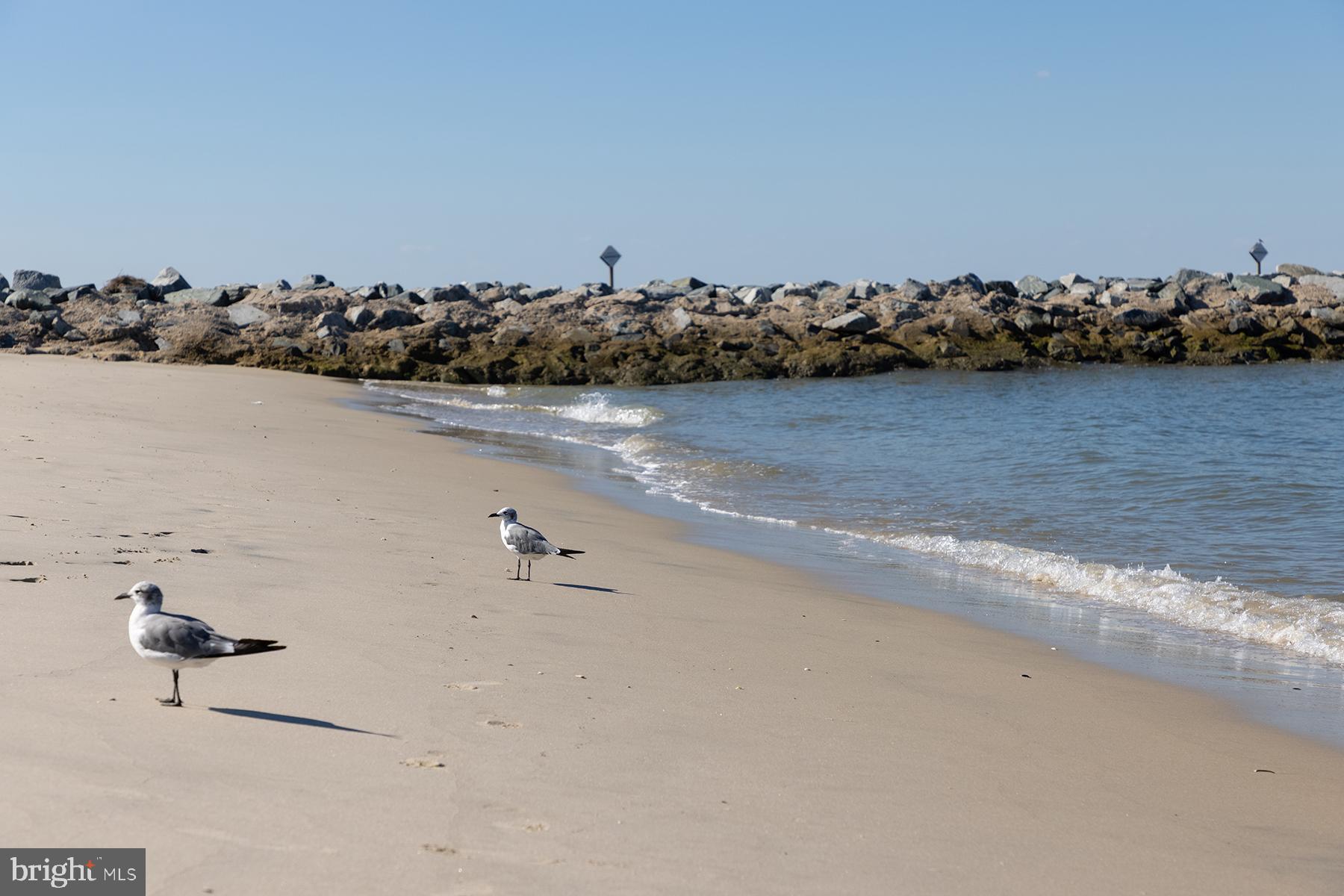 29298 Baker Island Road Lewes, DE 19958 - Photo 83 of 95