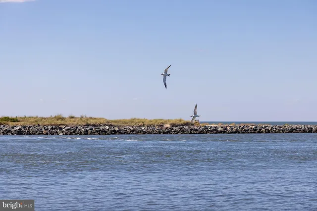 $557,000 | 29298 Baker Island Road, Lewes, DE 19958