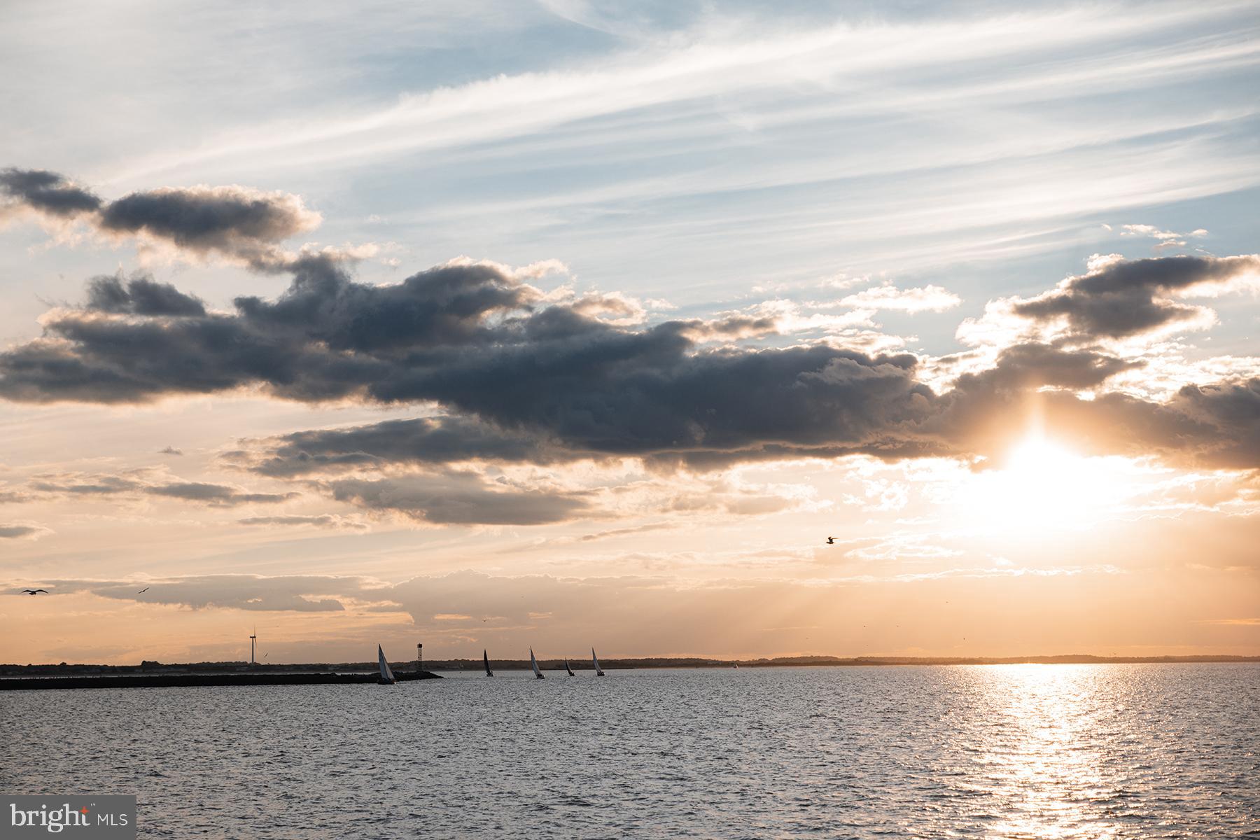 29298 Baker Island Road Lewes, DE 19958 - Photo 91 of 95