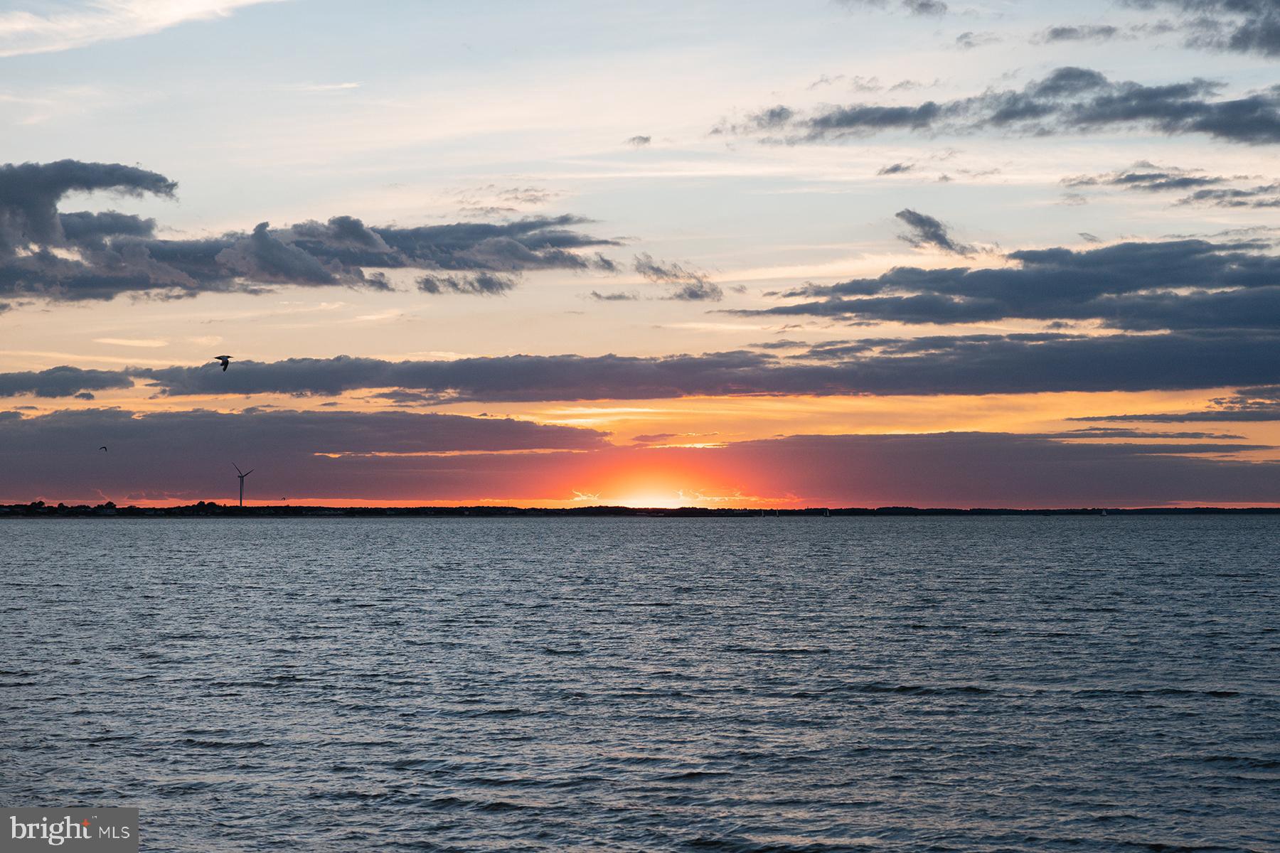 29298 Baker Island Road Lewes, DE 19958 - Photo 92 of 95