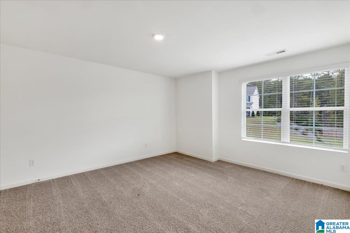 508 Rock Terrace Way Helena, AL 35080 - Photo 19 of 22