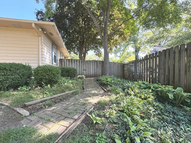 a view of a backyard with plants and large trees