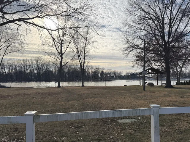 a view of a yard with an trees