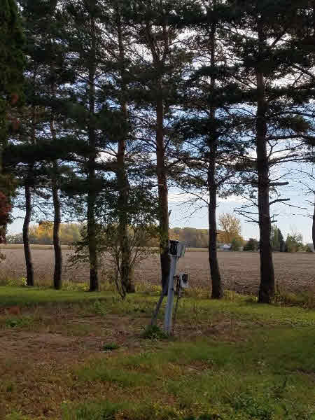 1653 South Tuscola Road Munger, MI 48747 - Photo 3 of 7