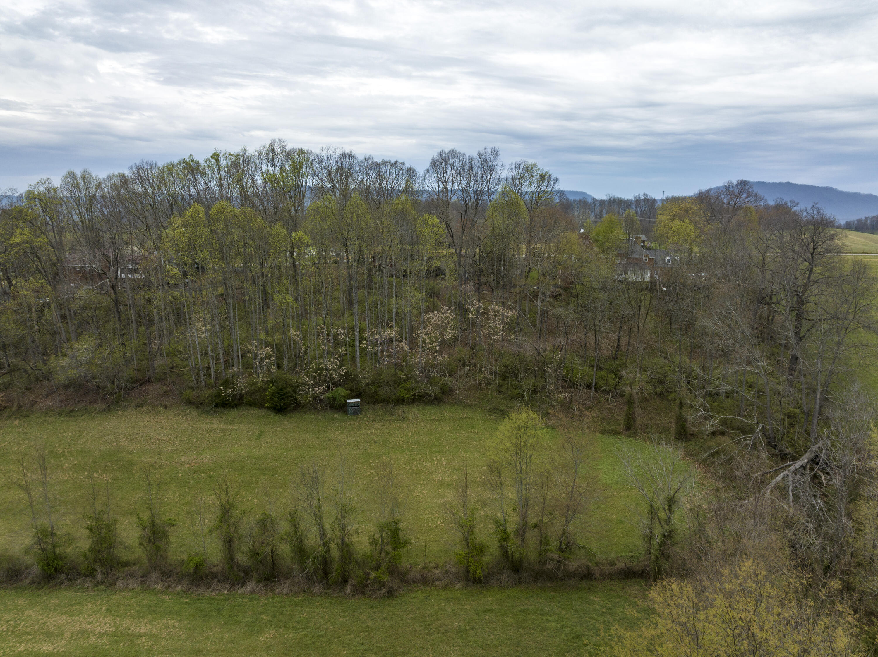 Tbd Stewart Road Chuckey, TN 37641 - Photo 17 of 33 Stewart--17