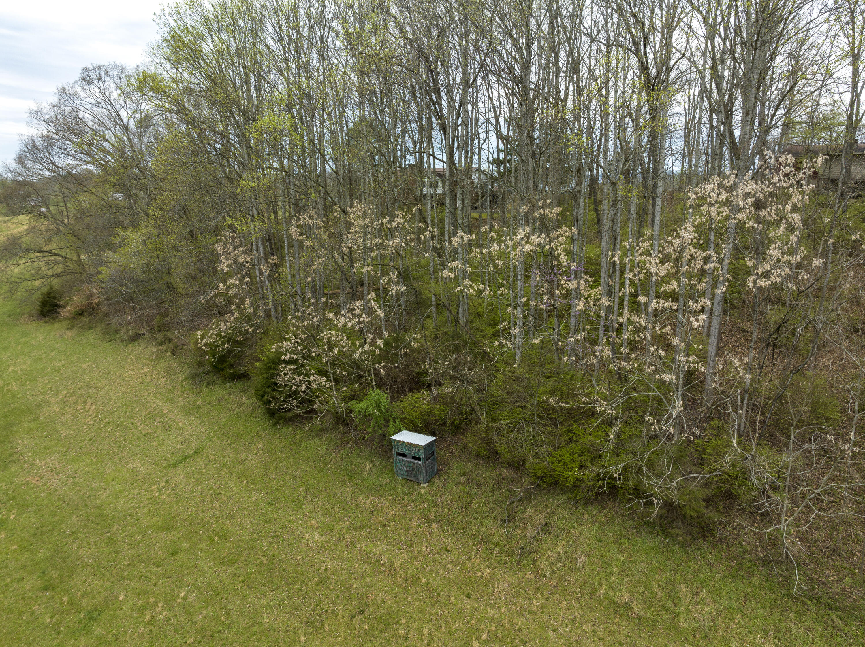 Tbd Stewart Road Chuckey, TN 37641 - Photo 19 of 33 Stewart--19
