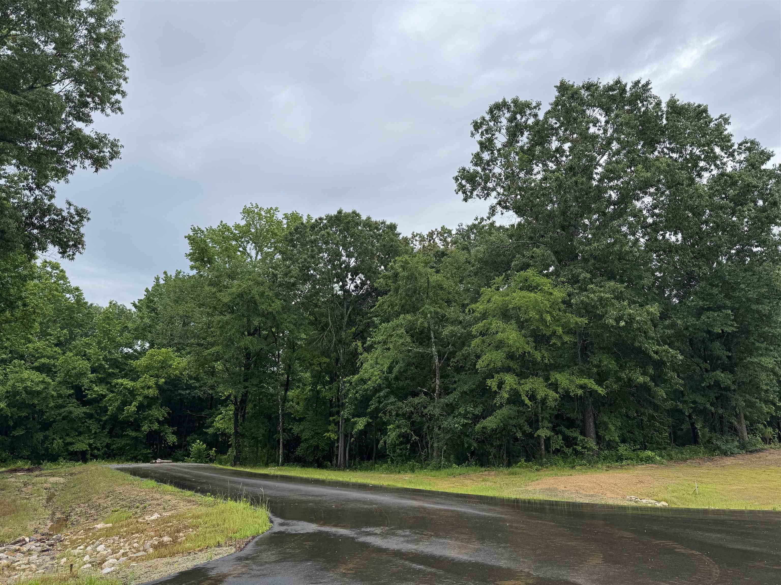 255 Simsbury Loop Eads, TN 38028 - Photo 4 of 5