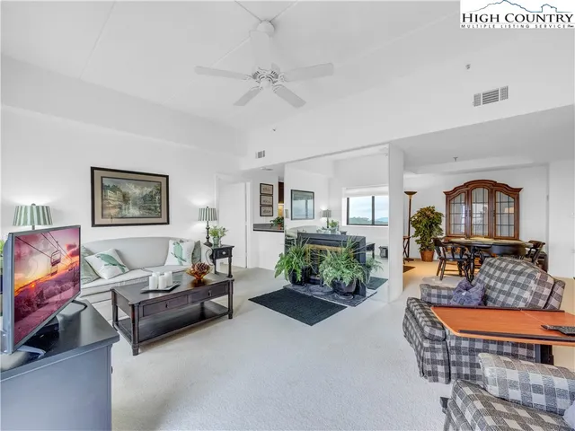 a living room with furniture a rug and potted plant
