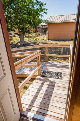 a view of a backyard with a large tree