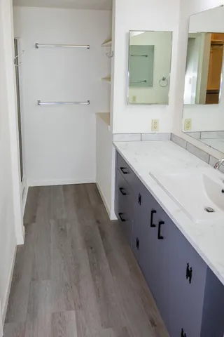 a bathroom with a sink and a mirror