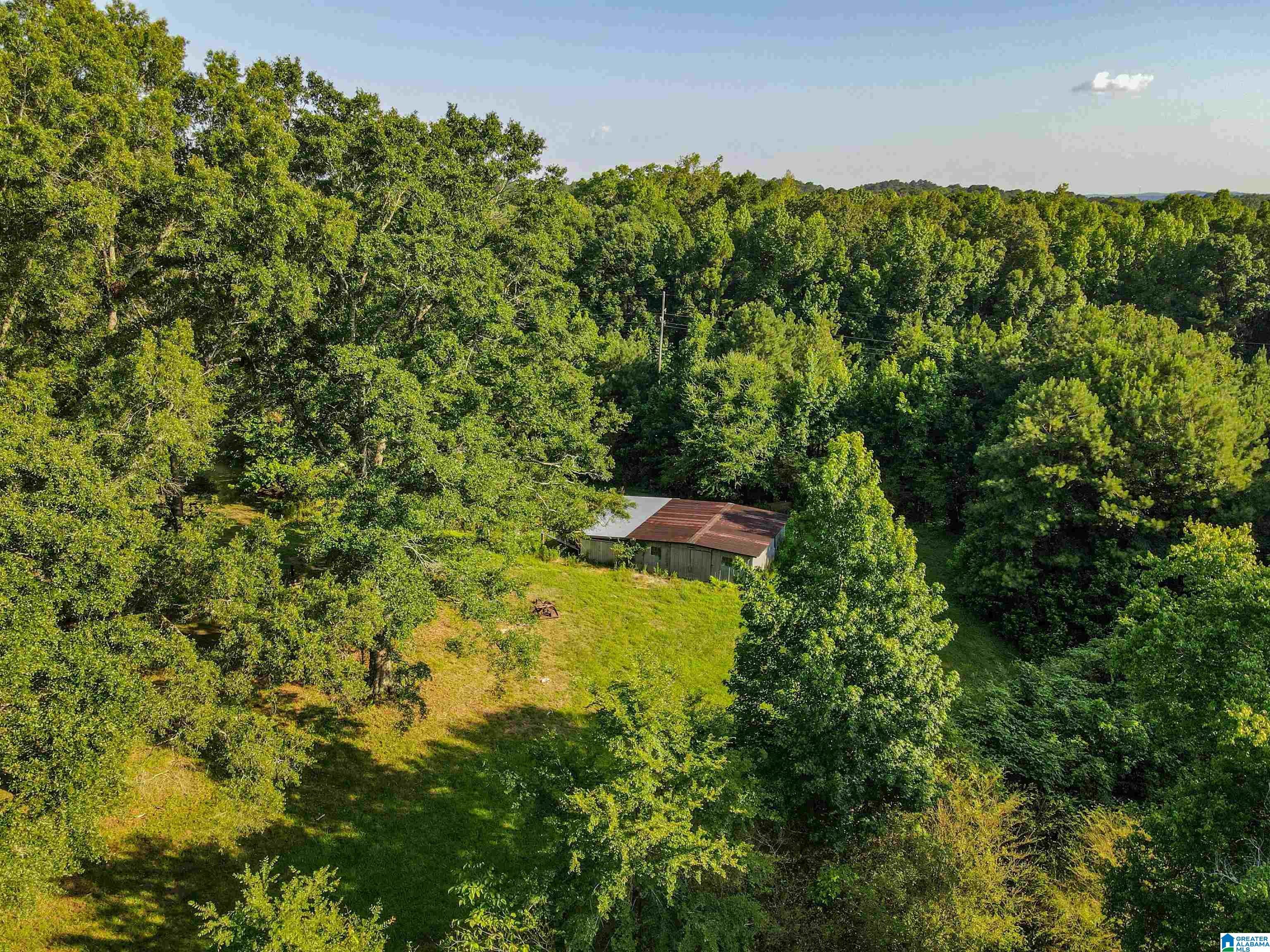 0 Aaron Road Jasper, AL 35501 - Photo 11 of 44