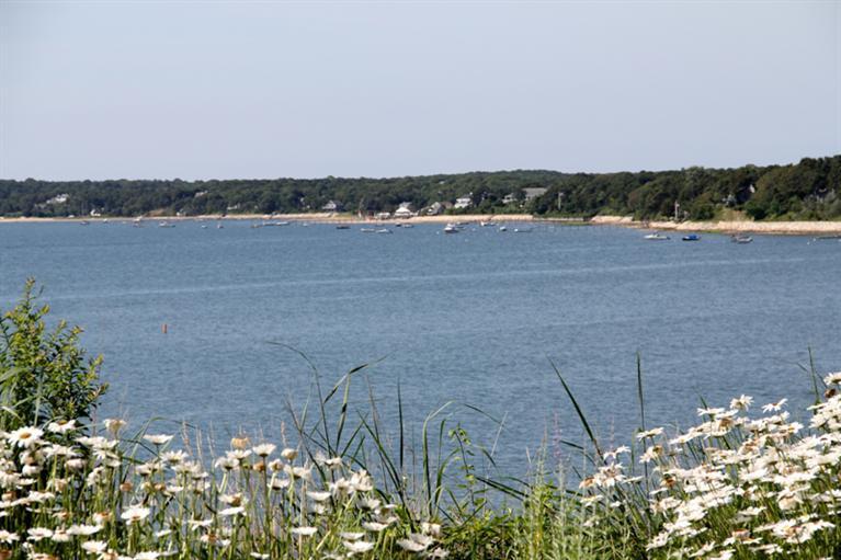 77 Towhee Lane Orleans, MA 02653 - Photo 12 of 20 Additional Photo