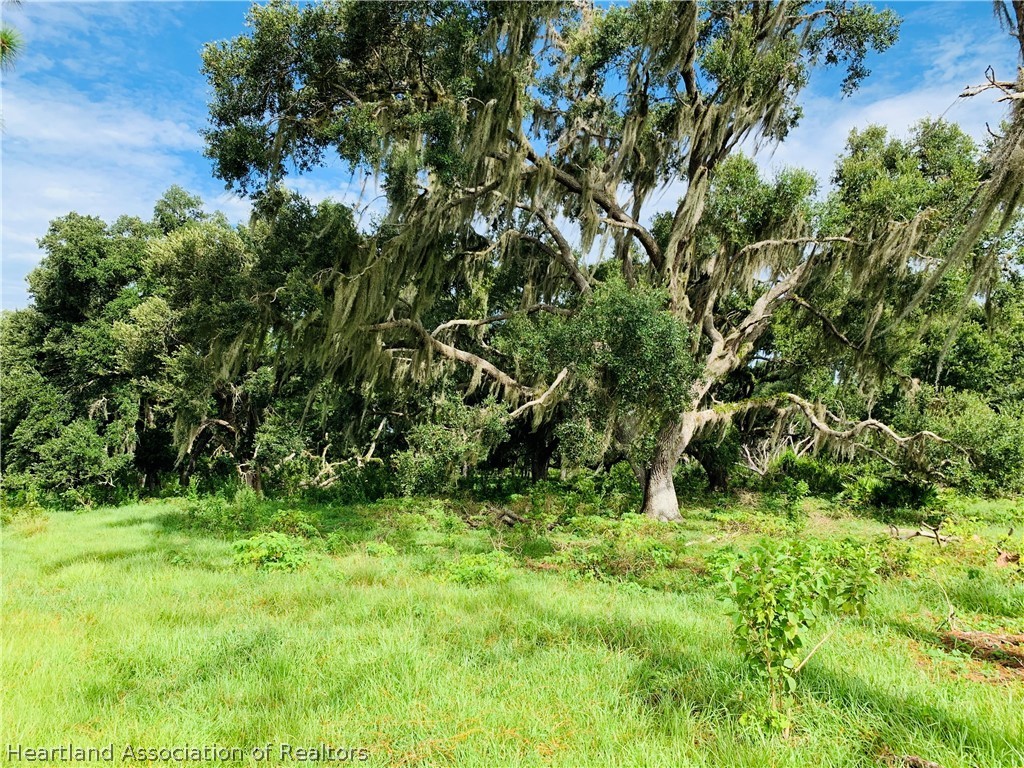 Sheppard Road Venus, FL 33960 - Photo 14 of 35 Gallery Image 14