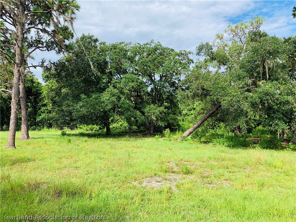 Sheppard Road Venus, FL 33960 - Photo 18 of 35 Gallery Image 18