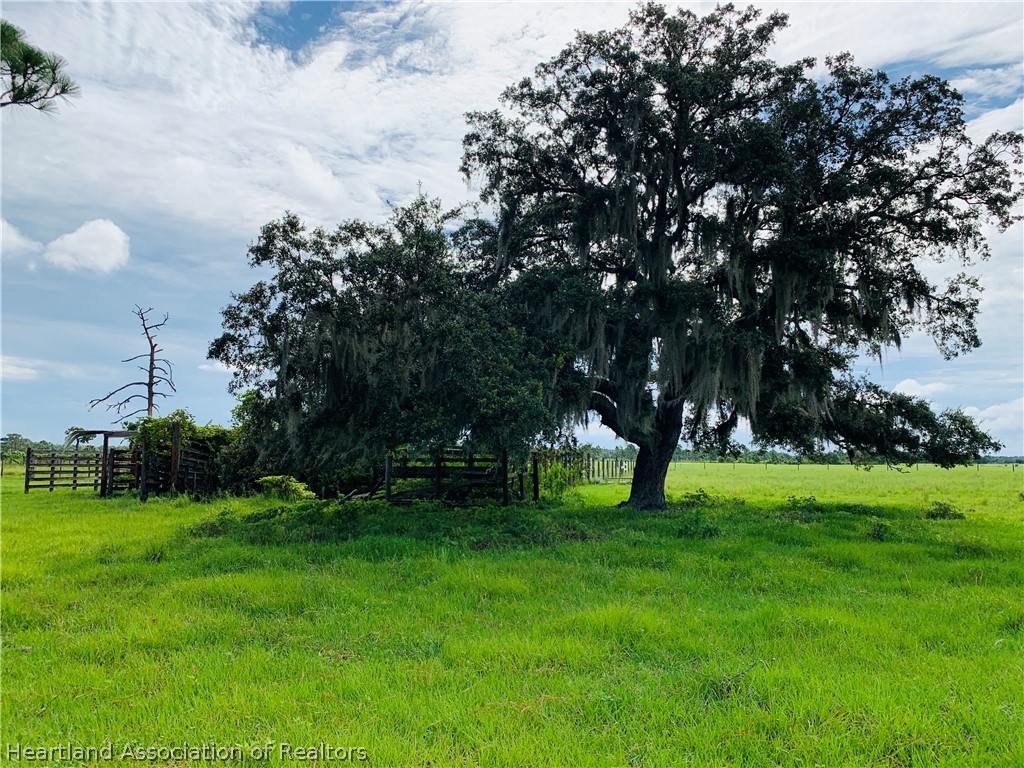 Sheppard Road Venus, FL 33960 - Photo 26 of 35 Gallery Image 26