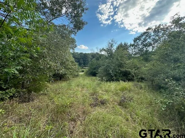 a view of a field of grass and trees
