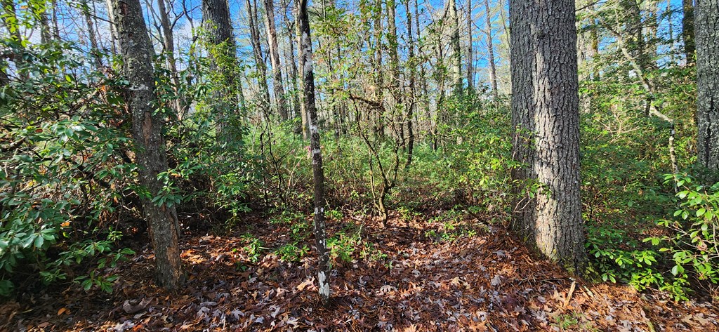 3-lots Ridgecrest Drive Blue Ridge, GA 30513 - Photo 12 of 17 Gallery Image 12
