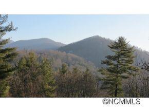 225 Laurel Ridge Road Asheville, NC 28805 - Photo 16 of 18 Gallery Image 16