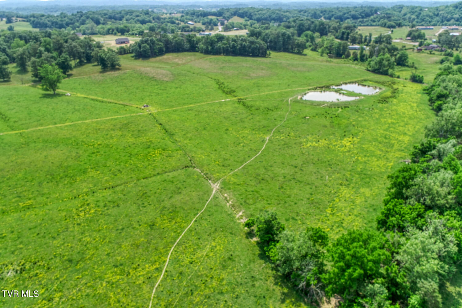 4135 Ottway Road Greeneville, TN 37745 - Photo 92 of 116 J Carter Ottway Gvl MLSa (81 of 113)