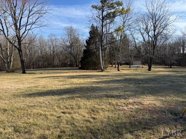 1092 Mount Pleasant Road Pamplin, VA 23958 - Photo 3 of 17 a view of tennis ground with trees