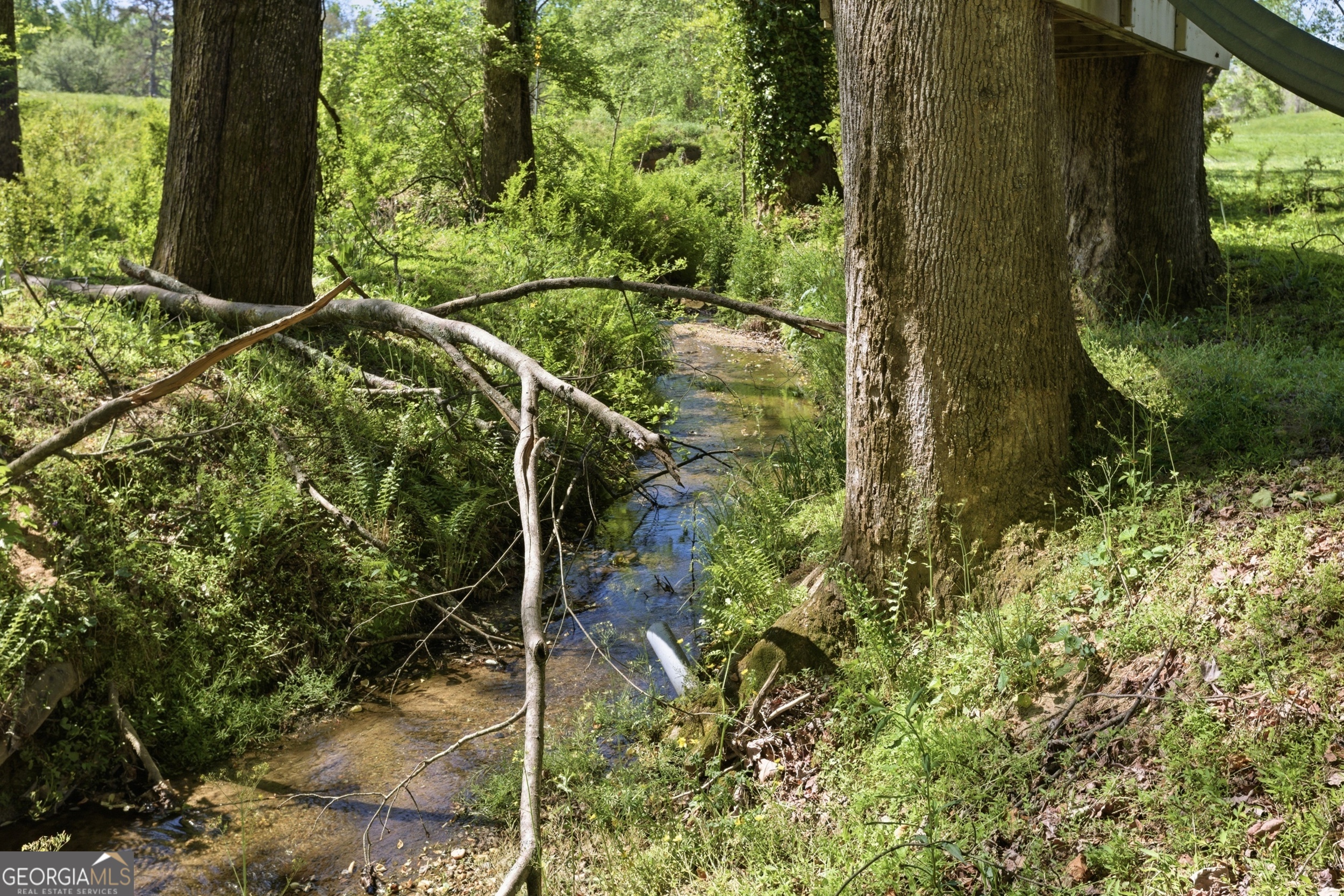 120 Haywood Hills Road Demorest, GA 30535 - Photo 44 of 51