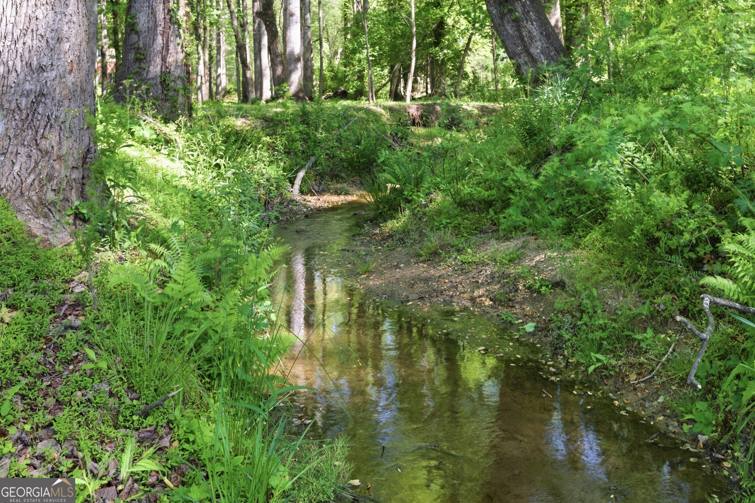 120 Haywood Hills Road Demorest, GA 30535 - Photo 45 of 51