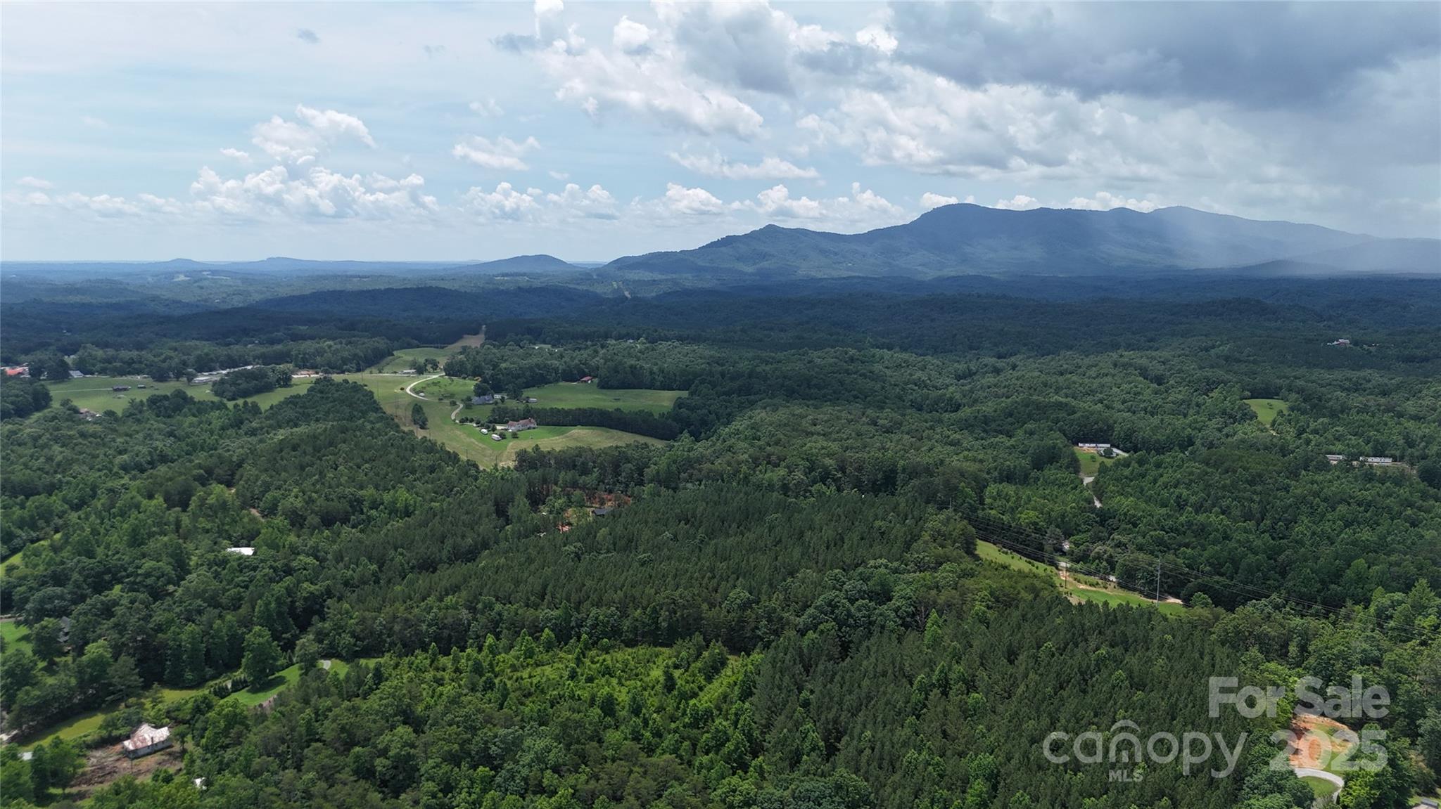 221 Flat Branch Trail Mill Spring, NC 28756 - Photo 30 of 32 a view of a lush green mountain