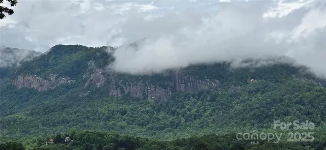 $369,900 | 221 Flat Branch Trail, Mill Spring, NC 28756