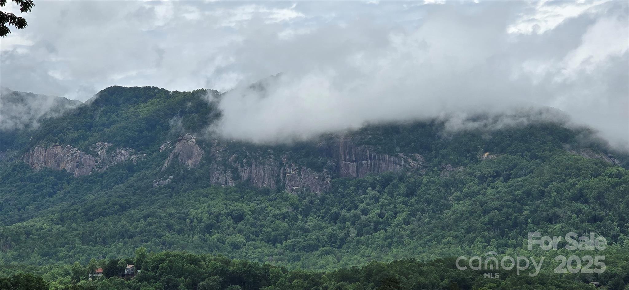 221 Flat Branch Trail Mill Spring, NC 28756 - Photo 32 of 32 a view of a field