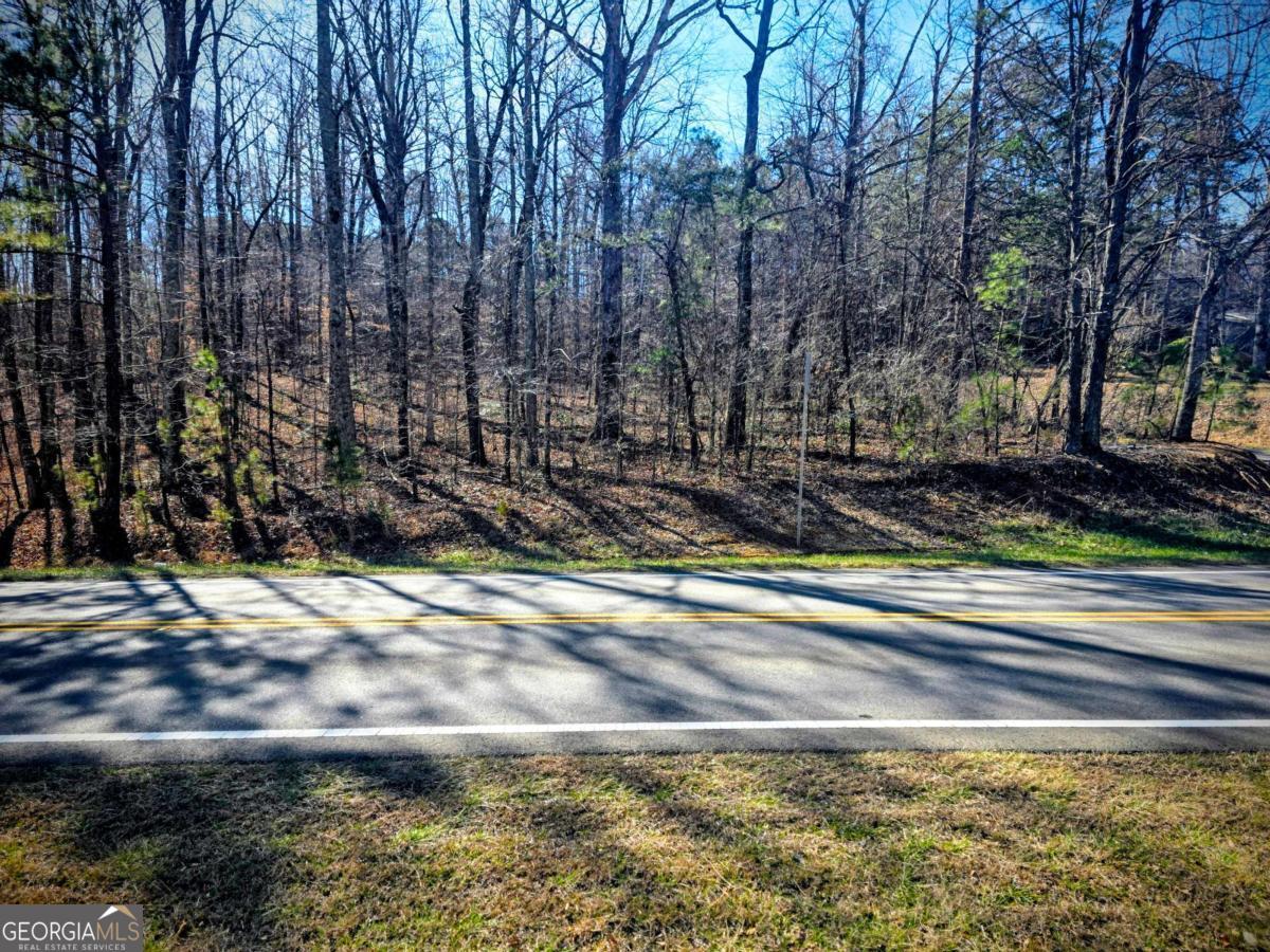 0 Cowart Mountain Road Jasper, GA 30143 - Photo 3 of 9