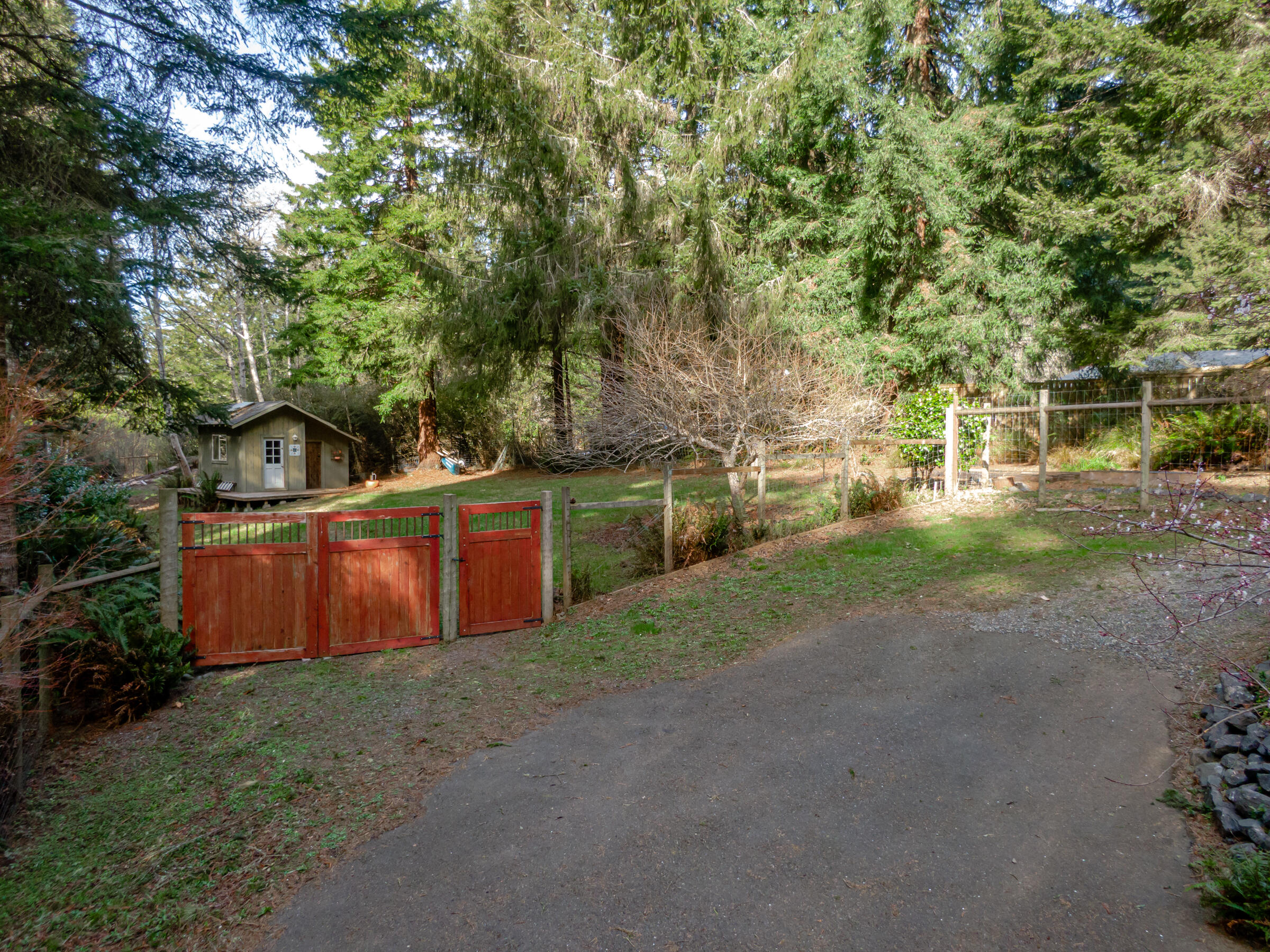 1272 Fickle Hill Road Arcata, CA 95521 - Photo 28 of 57 1272 Fickle Hill Road Arcata-253