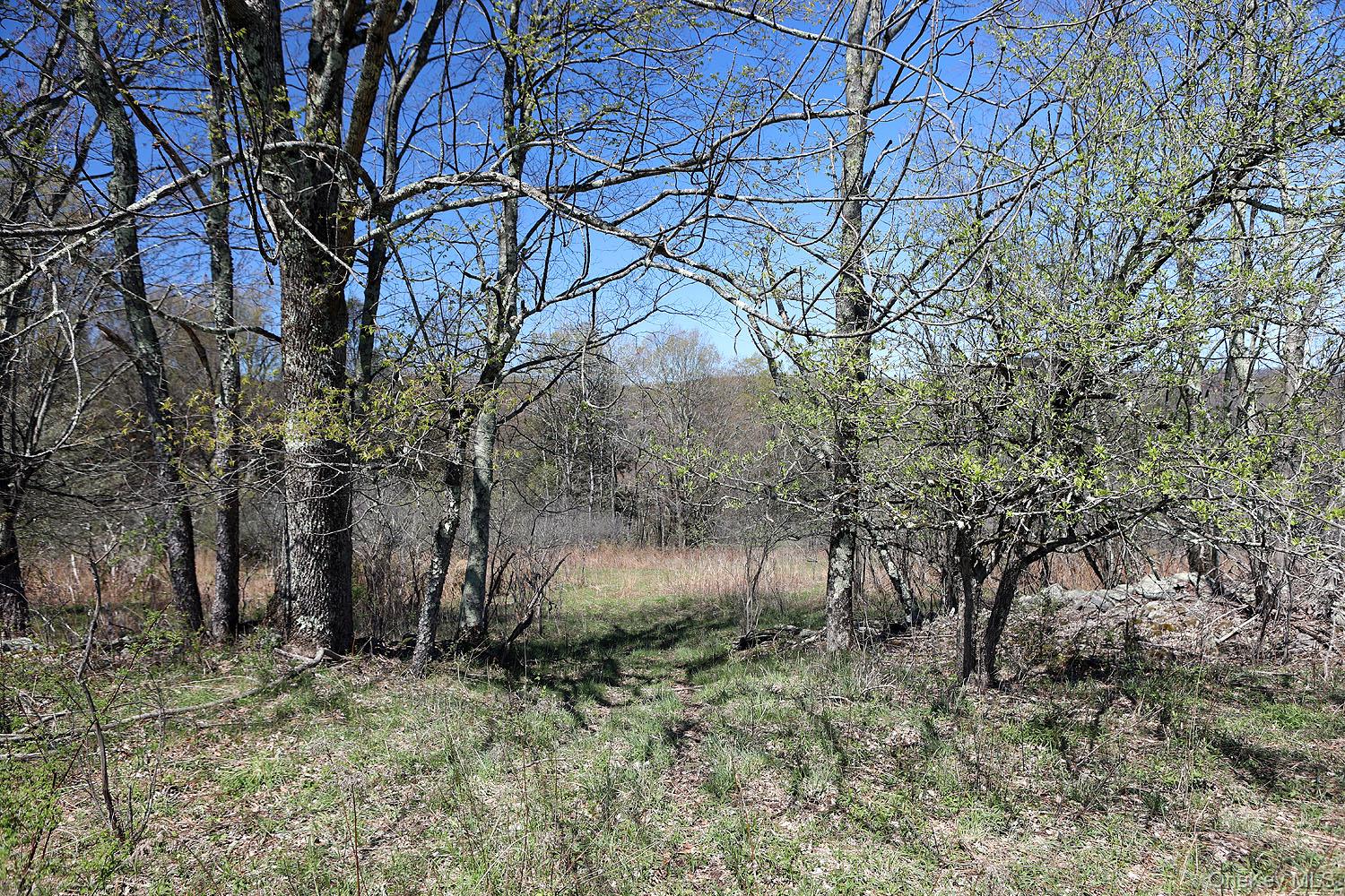 Hubert Road Jeffersonville, NY 12748 - Photo 7 of 19 a view of a yard with large trees