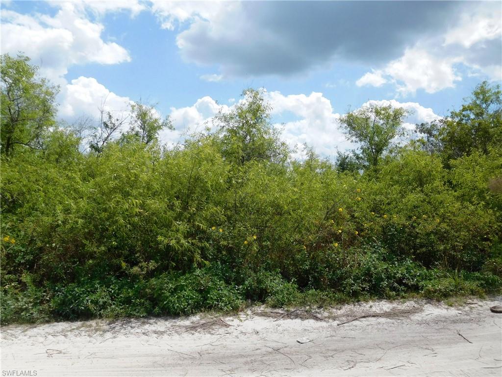 0 Limpkin Road Naples, FL 34120 - Photo 2 of 3 Gallery Image 2