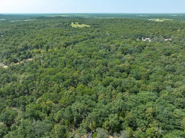 a view of a green field with lots of bushes