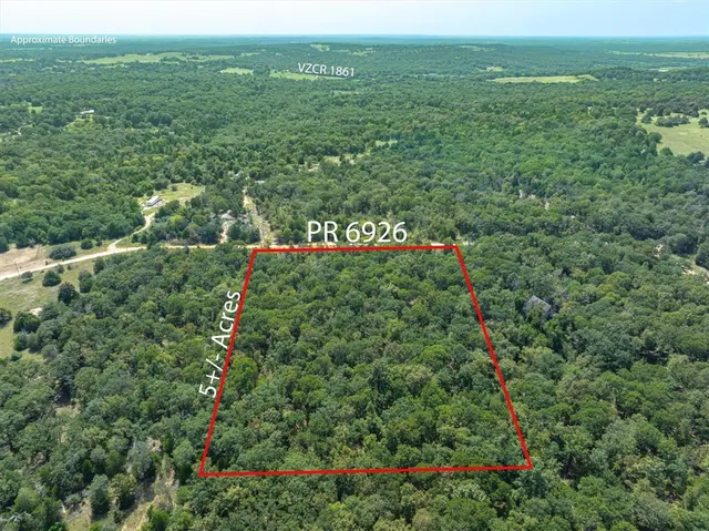 a view of a lush green forest with a mountain and trees